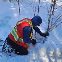 Projects and Collaborations